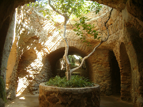 Underground Gardens
