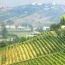 Astimonferrato_1236260576.jpg