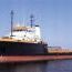 Buccaneer_1239649188.jpg