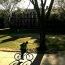 Campus_1240204272.jpg