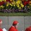 Cardinals_1408714253.jpg