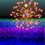 Cell_1253333628.jpg