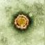 Coronavirus_reuters_1370289644.jpg