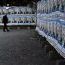 Download_1351695211.jpeg