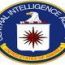 Excia_1348170905.jpg