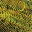 Italyywine_1332972198.jpg
