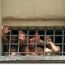 Jail_1357772320.jpg