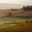 N-tuscany-large570_1414728775.jpg