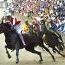 Palio_1345232054.jpg