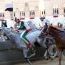 Palio_1372896336.jpg