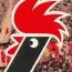 Stemma_del_bari_calcio_1252855145.jpg