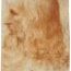 Vinci8ac_1234968218.jpg